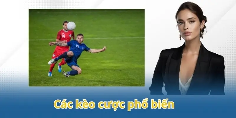 Thông tin chi tiết về sảnh thể thao Win55