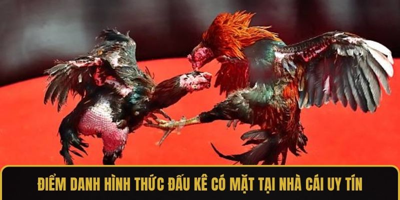 Điểm danh hình thức đấu kê có mặt tại nhà cái uy tín